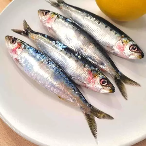 Les Filets de sardines - mon-marché.fr