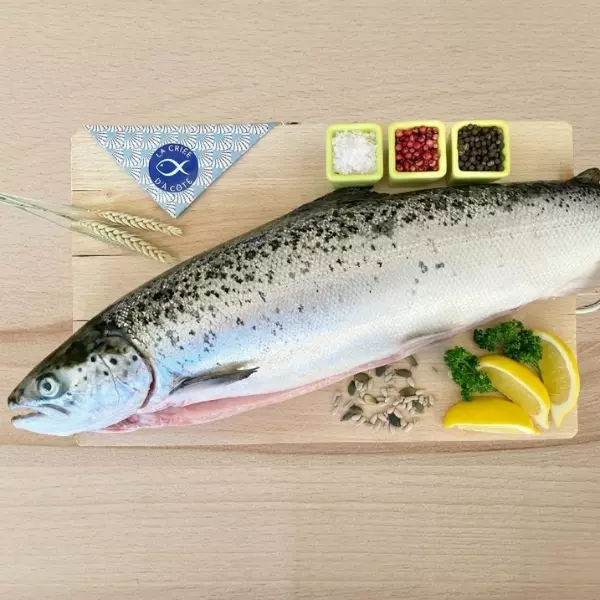 Saumon Frais Entier vidé 2 à 3kg pièce Élevé en France